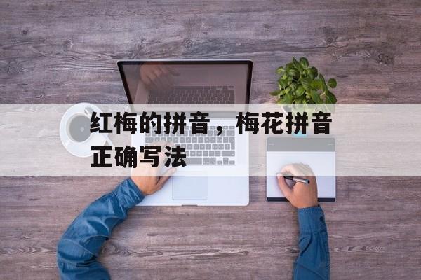 红梅的拼音，梅花拼音正确写法-第1张图片-