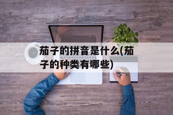 茄子的拼音是什么(茄子的种类有哪些)-第1张图片-