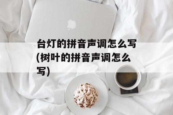 台灯的拼音声调怎么写(树叶的拼音声调怎么写)-第1张图片-
