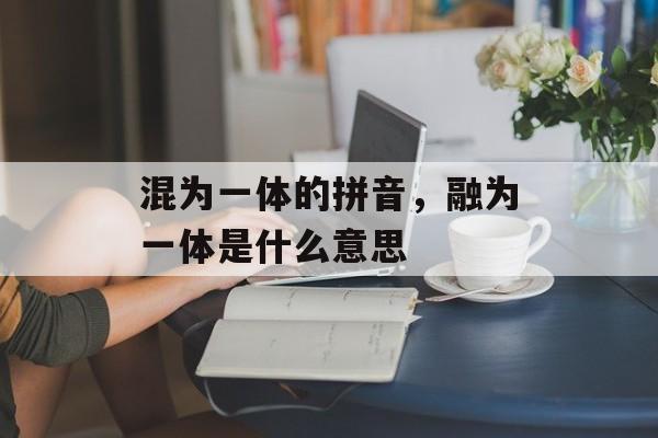 混为一体的拼音，融为一体是什么意思-第1张图片-