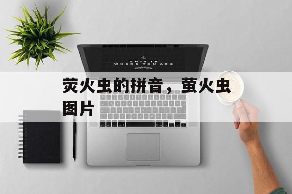 荧火虫的拼音，萤火虫图片-第1张图片-