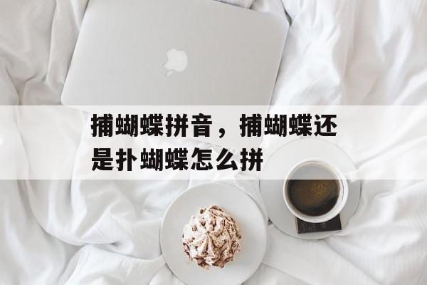 捕蝴蝶拼音，捕蝴蝶还是扑蝴蝶怎么拼-第1张图片-