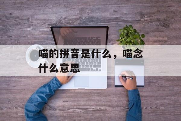 喵的拼音是什么，喵念什么意思-第1张图片-