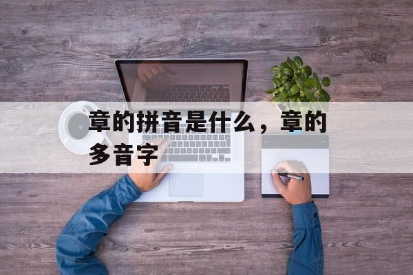 章的拼音是什么，章的多音字-第1张图片-