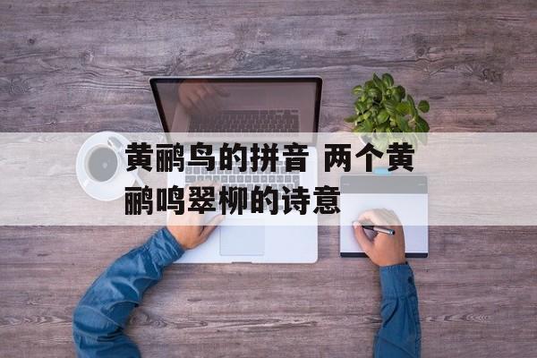 黄鹂鸟的拼音 两个黄鹂鸣翠柳的诗意-第1张图片-