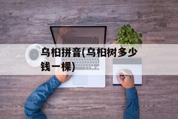 乌桕拼音(乌桕树多少钱一棵)-第1张图片-