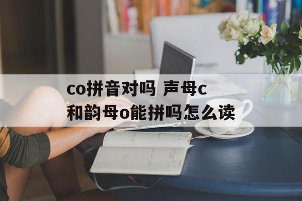 co拼音对吗 声母c和韵母o能拼吗怎么读-第1张图片-