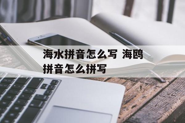 海水拼音怎么写 海鸥拼音怎么拼写-第1张图片-