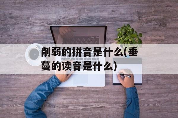 削弱的拼音是什么(垂蔓的读音是什么)-第1张图片-