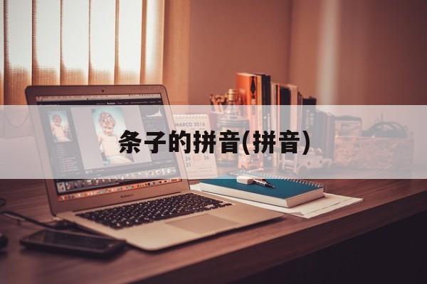 条子的拼音(拼音)-第1张图片-