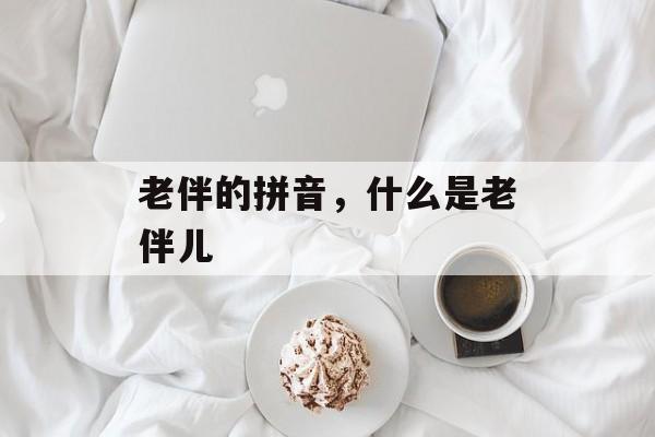 老伴的拼音，什么是老伴儿-第1张图片-