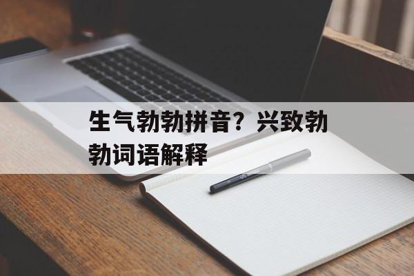 生气勃勃拼音？兴致勃勃词语解释-第1张图片-