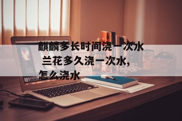 麒麟多长时间浇一次水 兰花多久浇一次水,怎么浇水-第1张图片-