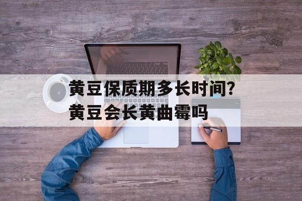 黄豆保质期多长时间？黄豆会长黄曲霉吗-第1张图片-