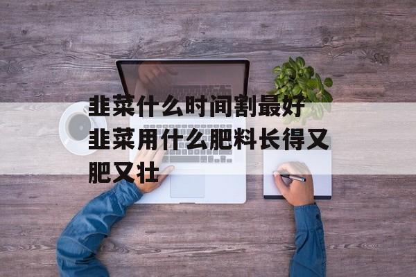 韭菜什么时间割最好 韭菜用什么肥料长得又肥又壮-第1张图片-