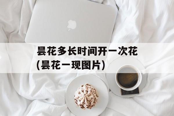 昙花多长时间开一次花(昙花一现图片)-第1张图片-