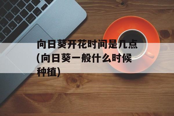 向日葵开花时间是几点(向日葵一般什么时候种植)-第1张图片-