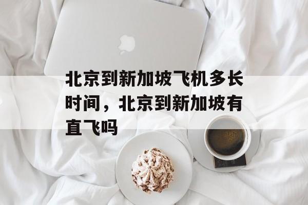 北京到新加坡飞机多长时间，北京到新加坡有直飞吗-第1张图片-