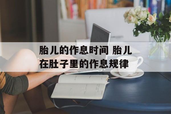 胎儿的作息时间 胎儿在肚子里的作息规律-第1张图片-