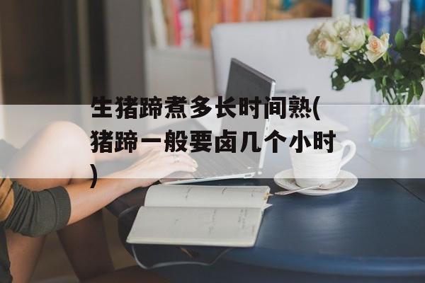 生猪蹄煮多长时间熟(猪蹄一般要卤几个小时)-第1张图片-
