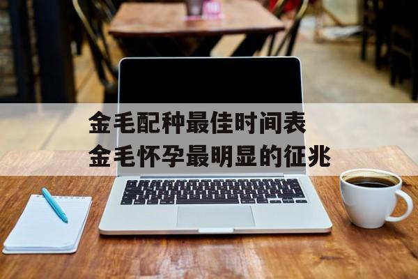 金毛配种最佳时间表 金毛怀孕最明显的征兆-第1张图片-