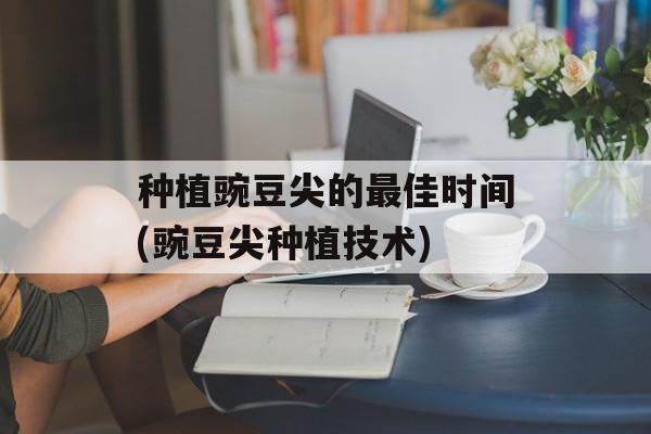 种植豌豆尖的最佳时间(豌豆尖种植技术)-第1张图片-