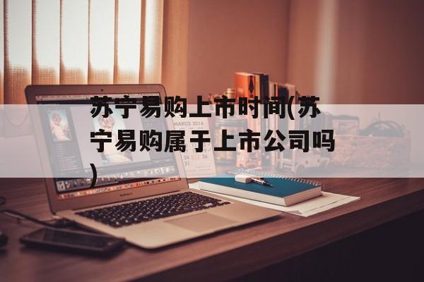 苏宁易购上市时间(苏宁易购属于上市公司吗)-第1张图片-