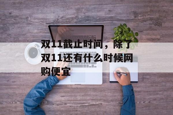 双11截止时间，除了双11还有什么时候网购便宜-第1张图片-