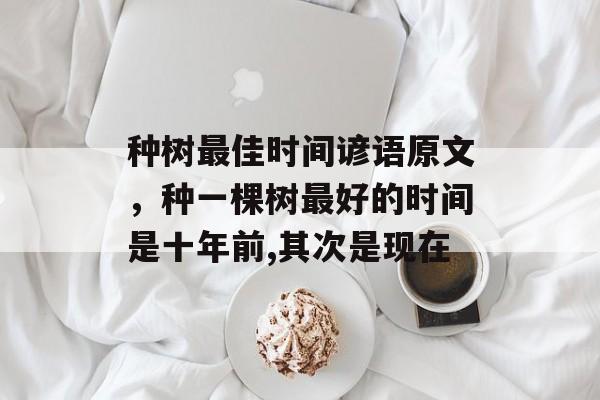 种树最佳时间谚语原文，种一棵树最好的时间是十年前,其次是现在-第1张图片-