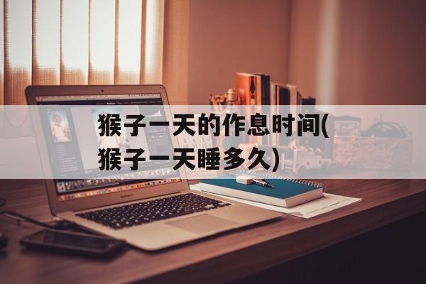 猴子一天的作息时间(猴子一天睡多久)-第1张图片-