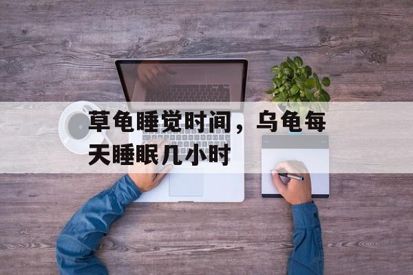 草龟睡觉时间，乌龟每天睡眠几小时-第1张图片-