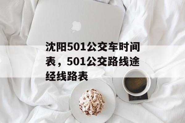 沈阳501公交车时间表，501公交路线途经线路表-第1张图片-