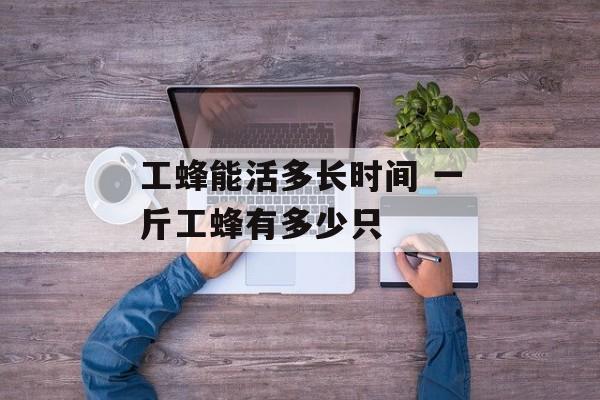 工蜂能活多长时间 一斤工蜂有多少只-第1张图片-