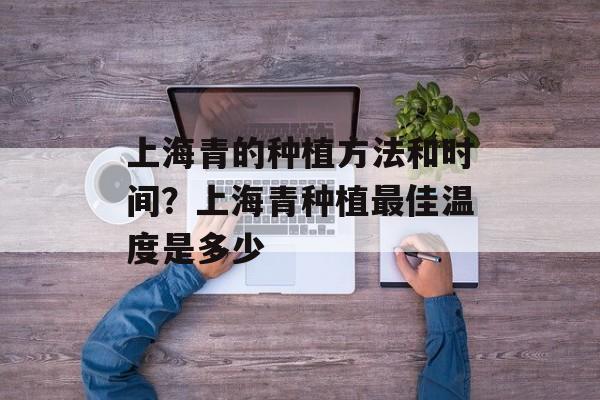 上海青的种植方法和时间？上海青种植最佳温度是多少-第1张图片-