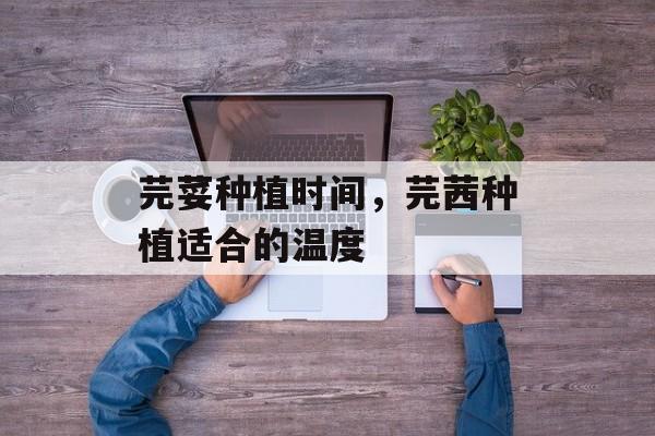 芫荽种植时间，芫茜种植适合的温度-第1张图片-