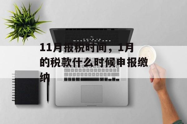 11月报税时间，1月的税款什么时候申报缴纳-第1张图片-