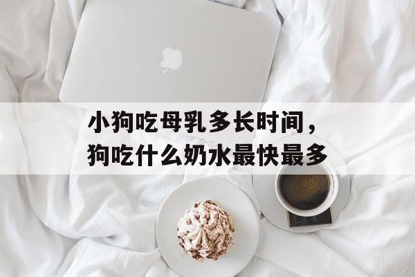 小狗吃母乳多长时间，狗吃什么奶水最快最多-第1张图片-