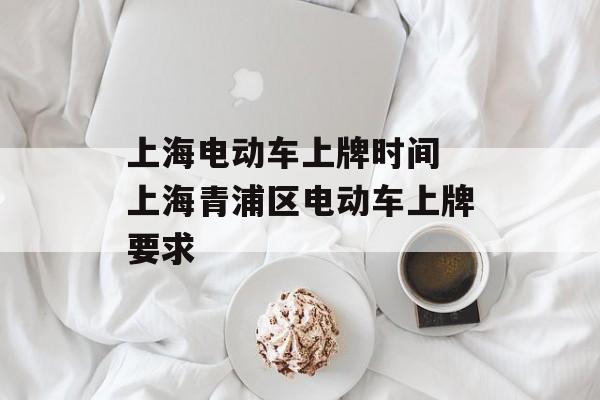 上海电动车上牌时间 上海青浦区电动车上牌要求-第1张图片-