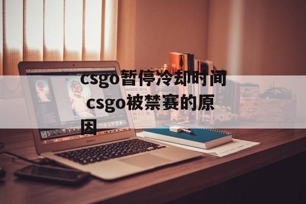 csgo暂停冷却时间 csgo被禁赛的原因-第1张图片-