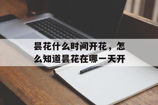昙花什么时间开花，怎么知道昙花在哪一天开-第1张图片-