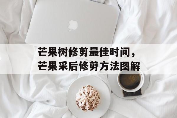 芒果树修剪最佳时间，芒果采后修剪方法图解-第1张图片-