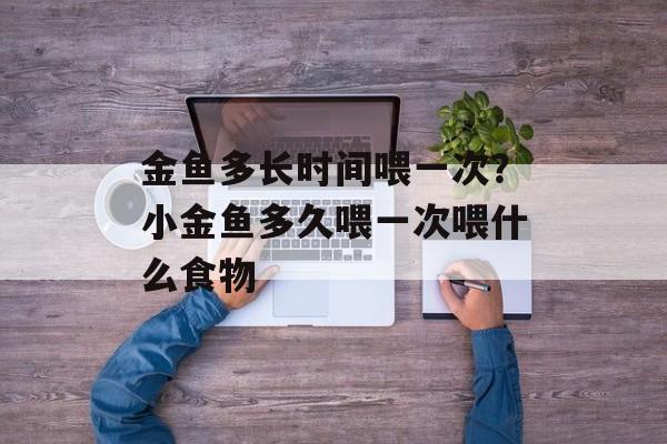 金鱼多长时间喂一次？小金鱼多久喂一次喂什么食物-第1张图片-