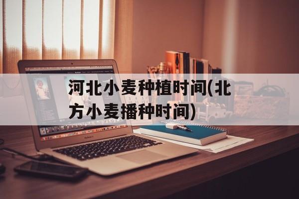 河北小麦种植时间(北方小麦播种时间)-第1张图片-