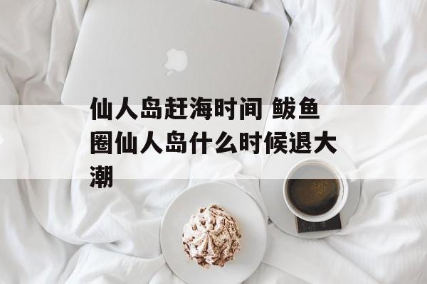 仙人岛赶海时间 鲅鱼圈仙人岛什么时候退大潮-第1张图片-