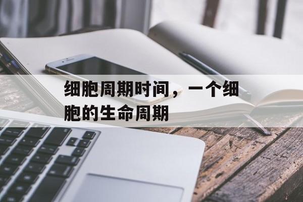细胞周期时间，一个细胞的生命周期-第1张图片-
