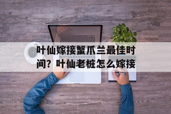 叶仙嫁接蟹爪兰最佳时间？叶仙老桩怎么嫁接-第1张图片-