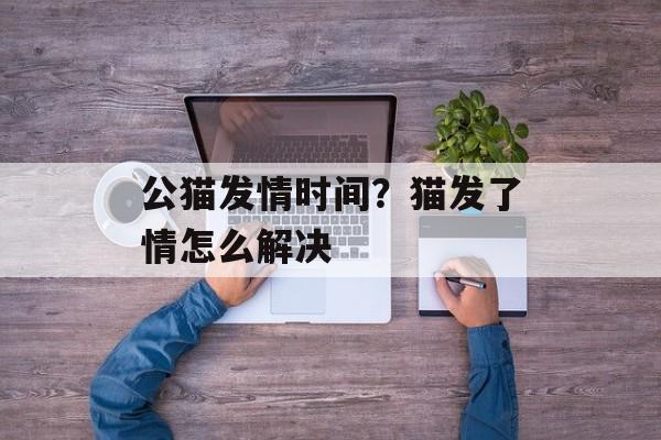 公猫发情时间？猫发了情怎么解决-第1张图片-