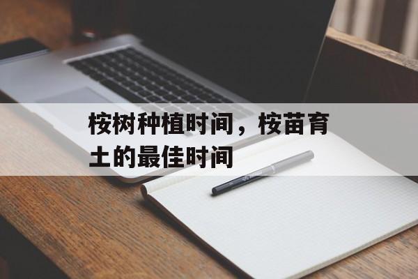 桉树种植时间，桉苗育土的最佳时间-第1张图片-