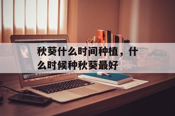 秋葵什么时间种植，什么时候种秋葵最好-第1张图片-