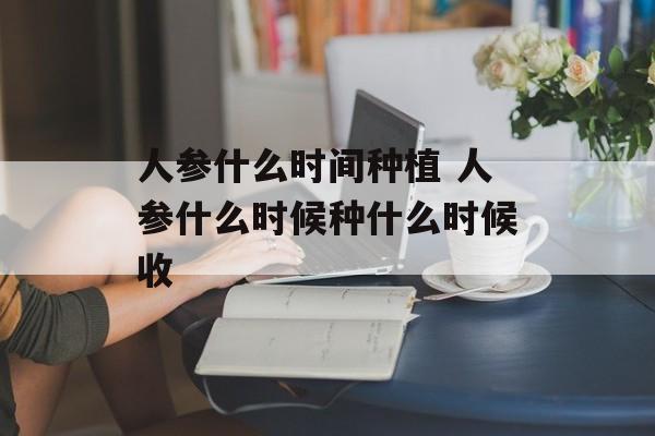 人参什么时间种植 人参什么时候种什么时候收-第1张图片-